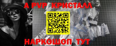 спиды Кингисепп