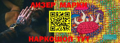 спиды Кингисепп