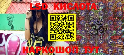 спиды Кингисепп