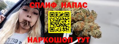 спиды Кингисепп