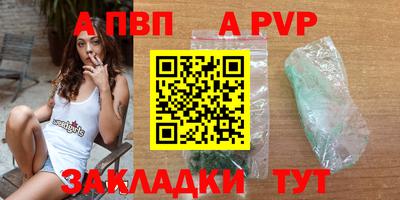 спиды Кингисепп