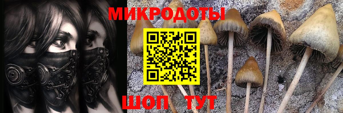 Псилоцибиновые грибы ЛСД  Псилоцибиновые грибы мицелий  Вход с VPN  Когалым 